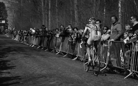 Racing the Arenberg Forest