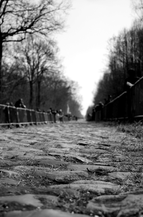 the Arenberg Cobbles
